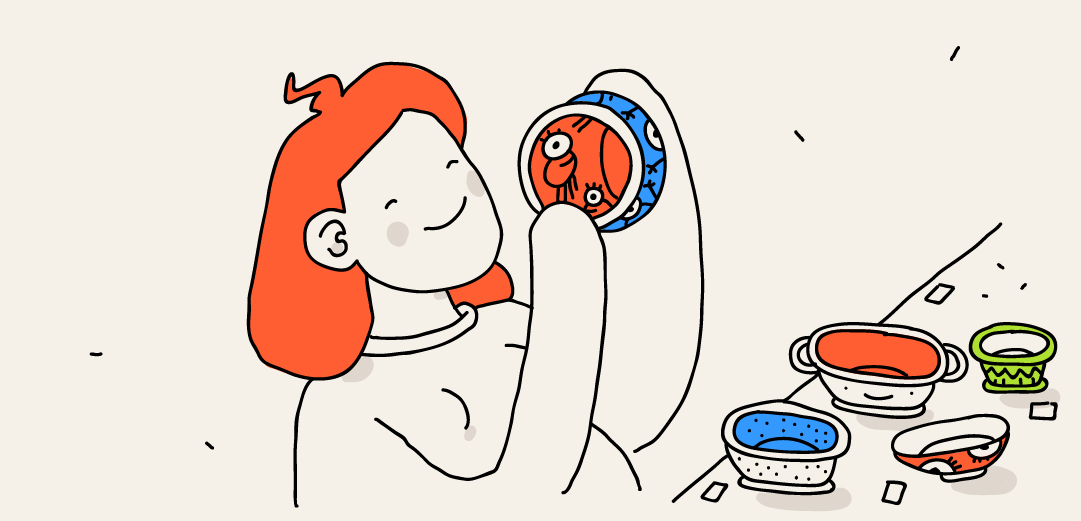 I need a new plate — week 16 of pregnancy